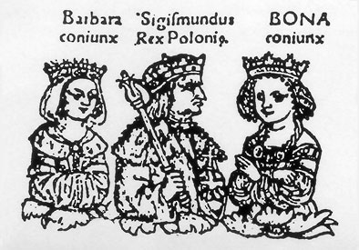  Barbara Zapolya, Zygmunt I Stary, Bona: 'Drzewo genealogiczne Jagiellonów', drzeworyt, 1519 