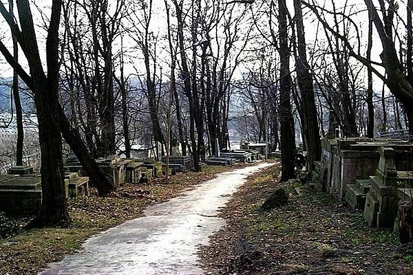  Cmentarz we Lwowie 