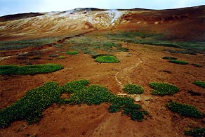  Andrzej Bąk, Islandia (fotogramy)   Wystawa w BU KUL, luty 2007 r. 