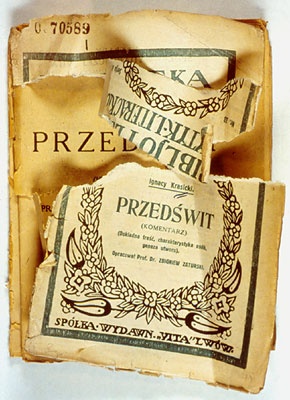  Zniszczenia w książce 