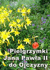  Pielgrzymki Jana Pawła II do Ojczyzny - plakat wystawy w BU KUL, lato 2007 