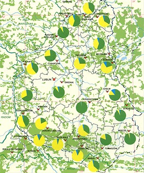 Lasy Lubelszczyzny - struktura siedliskowa ptaków Lasy Lubelszczyzny - struktura siedliskowa ptaków