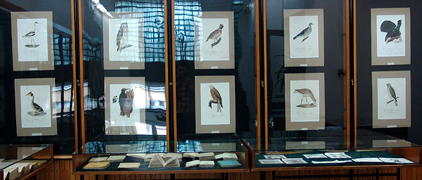  Wystawa 'Ptaki' BU KUL, 10 V 2007 r. 