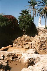  Wykopaliska w Jaffie 