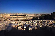  Widok na Jerozolimę z cmentarza żydowskiego   na Górze Oliwnej fot. Stanisław Markowski 
