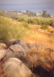  Widok na Kafarnaum z Góry Błogosławieństw (fot. Piotr Dylik) 